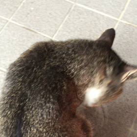 持ち上げるとの画像