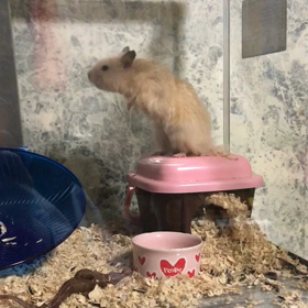 リターンミスを無くしたい！！の画像