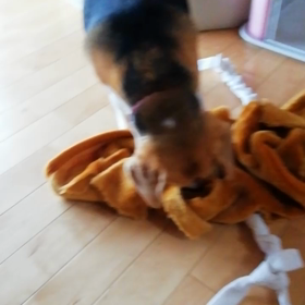 日曜日の午後いかがお過ごしでしょうか？の画像