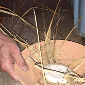 穴窯焚きの画像