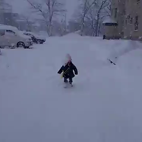犬ころの様な……U^ェ^Uの画像