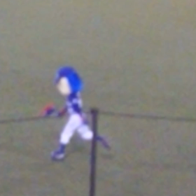 ドアラ先生の画像