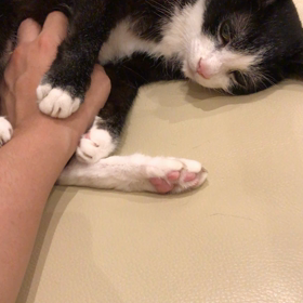 便秘にはお腹マッサージ❤️の巻の画像