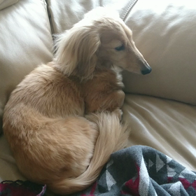 おはよ(^^)/1の画像