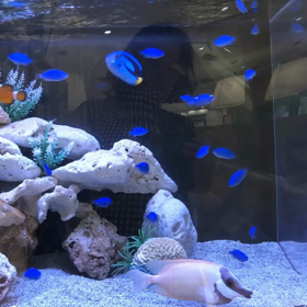 自由っていいねの画像