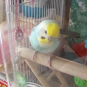 ストレス発散しなくちゃね。の画像