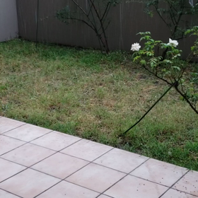 雨②の画像