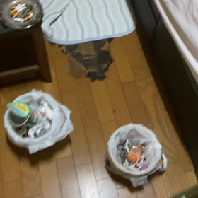 アーティスト犯罪あがりの画像