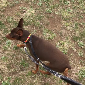 ♪60分遠足♪代々木公園♪3/22①の画像