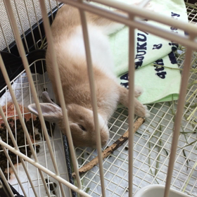 またまた…の画像