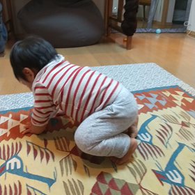 チビッ子ヨガ。の画像