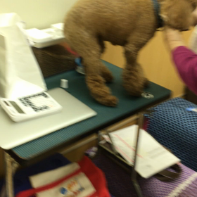 かわし方が上手くなってきた。の画像