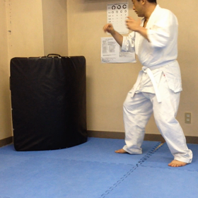 初動画その2の画像