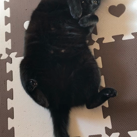 大翔です　穏やかで平穏な日々を✨願い祈り✨の画像