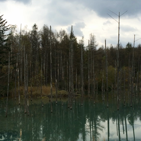 ちょいとの2の画像