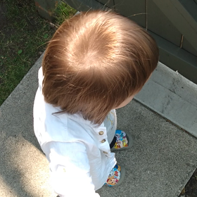 愛おしい手の画像