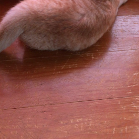 仲良しコンビの画像