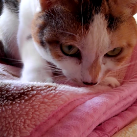 止まらない‼の画像