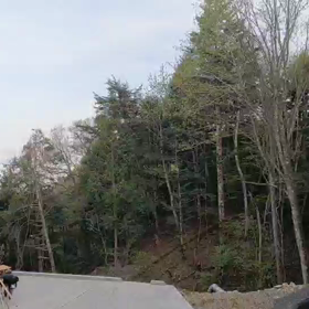 七面山奥之院のありがとう✨にありがとう✨の画像