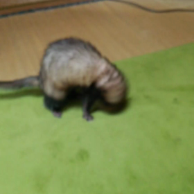 正月太りの画像