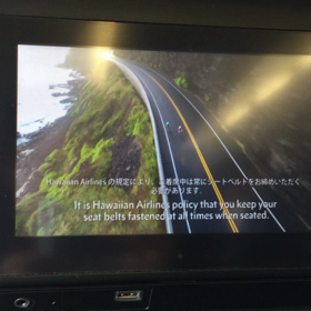 HAWIAN AIRLINESの画像