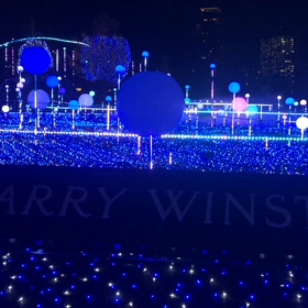 東京ミッドタウンのイルミネーションはスケールが違います！！の画像