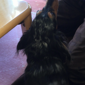 新年から、あちゃー！！の画像