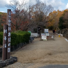 生憎の天気ですがの画像