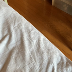 キムタ東條殺しばれの画像