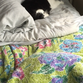 ▶︎あれ？ばれた！の画像