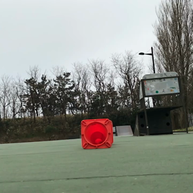 今朝のスケートその2の画像