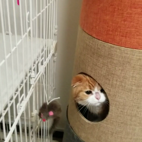 *二の腕ぷよぷよ*の画像