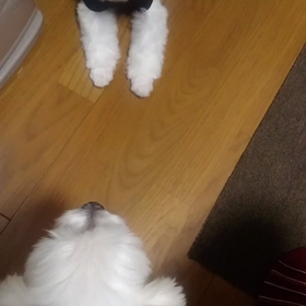 リュウちゃんとの距離の画像