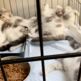どういう状況、、？の画像