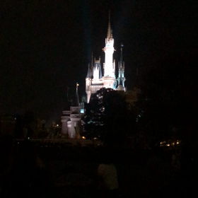 2019年東京ディズニーランドの画像