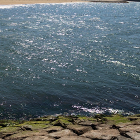 春の海の画像