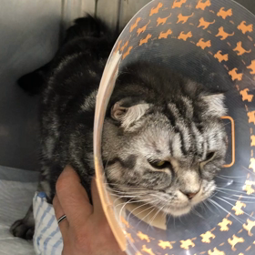 あろえ、入院9日目の画像