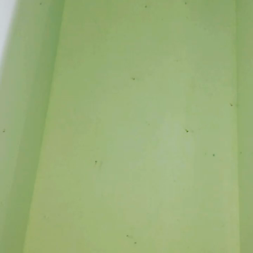 針子達のの画像