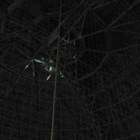 動画撮影。の画像