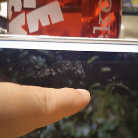 大好きな音像の画像