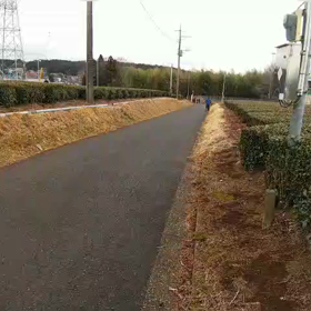 駅伝コースの坂ダッシュ　後半③の画像