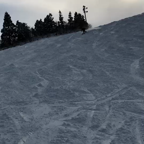 美容師って素晴らしい職業です。の画像