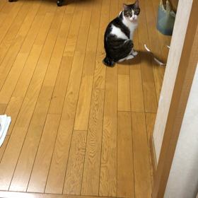 今日も凄く驚いた事あったけど詳しくは明日。の画像