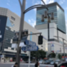 Shima散歩TOKYO湯島駅から上野恩賜公園とアメ横散歩ver.6の画像