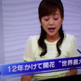 つぶやきと、先日のショクダイオオコンニャク動画の画像