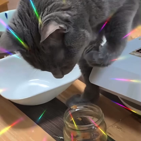 あーっ‼️の画像