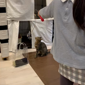 歯医者さんへの画像