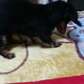 ほりほり～の画像