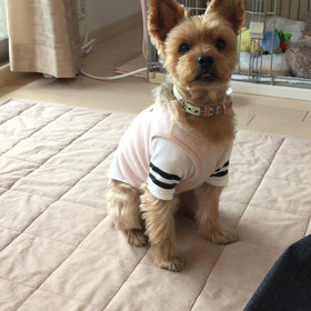 ルーティーンの画像