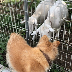 仲良し❤の画像